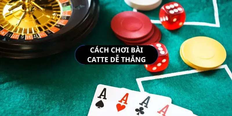 Những mẹo chơi bài catte có thể giúp bạn tăng cơ hội chiến thắng